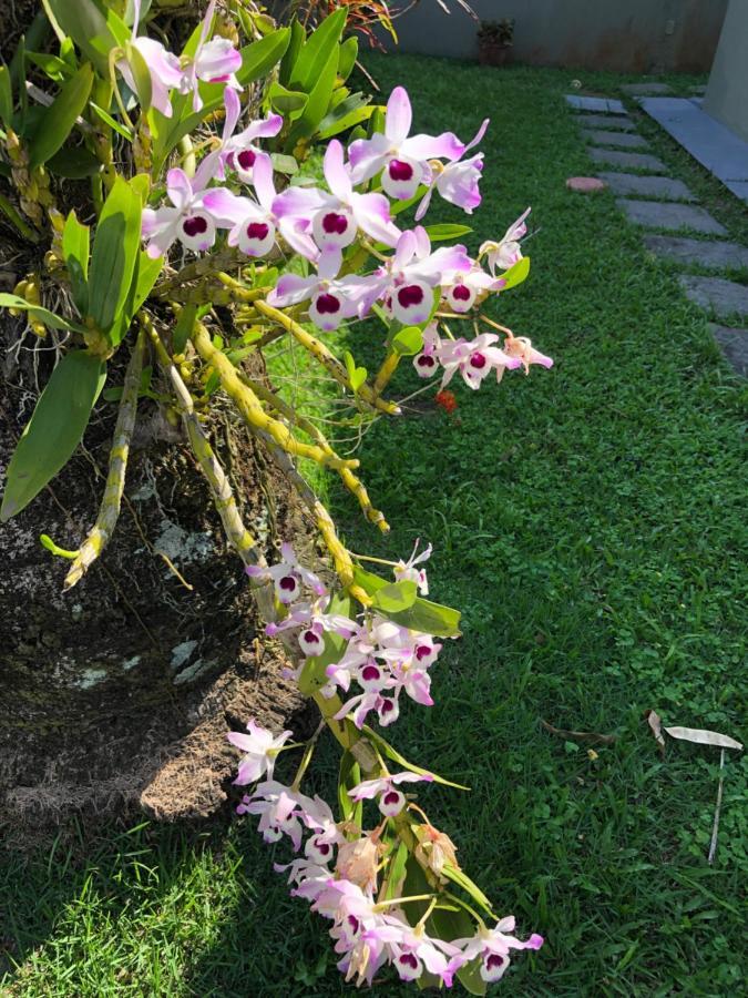 Casa Em Cond. Fechado Praia Mococa - Caraguatatuba Mar Verde Ngoại thất bức ảnh